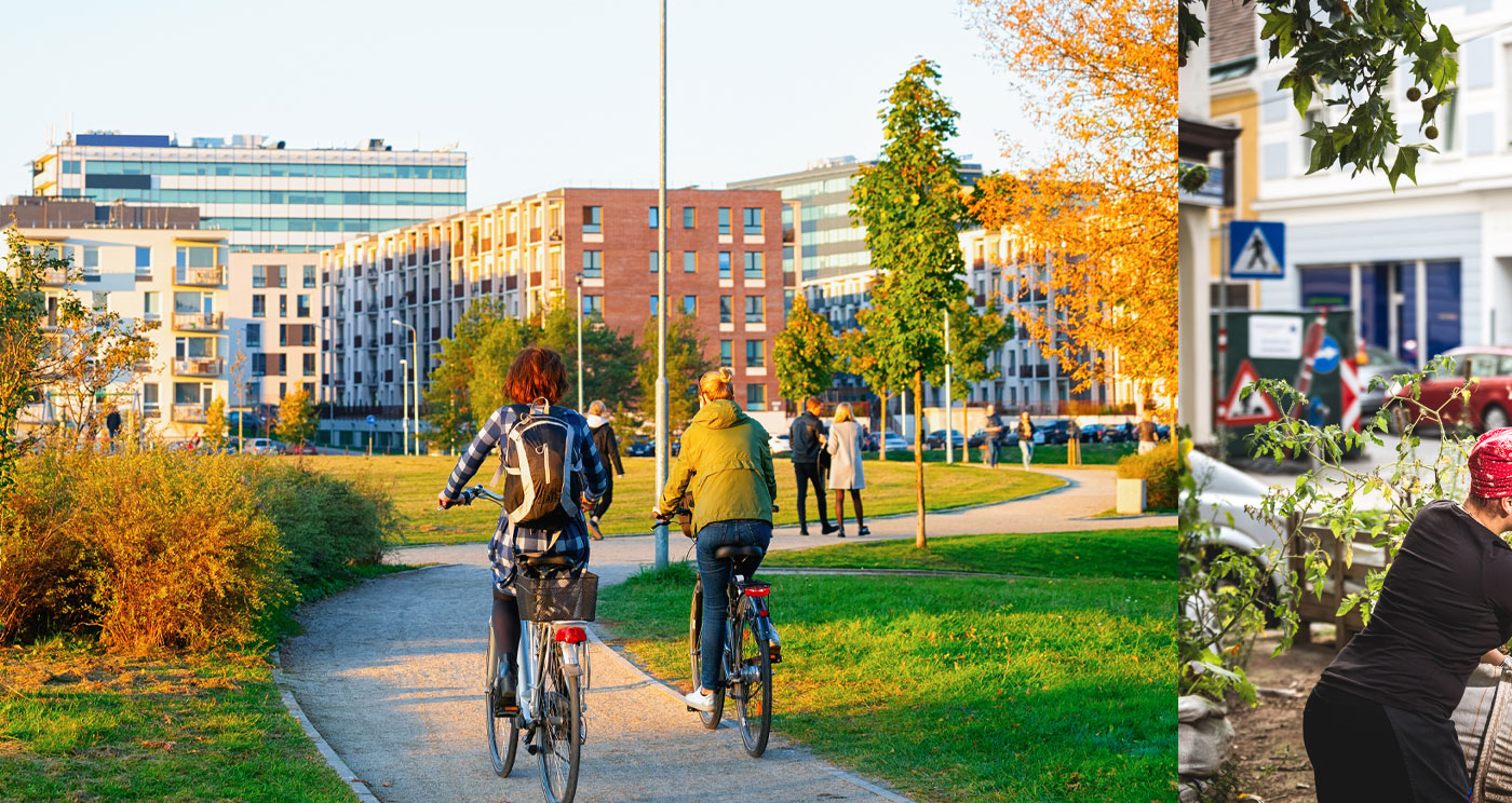 Wettbewerb Grün Projektförderung